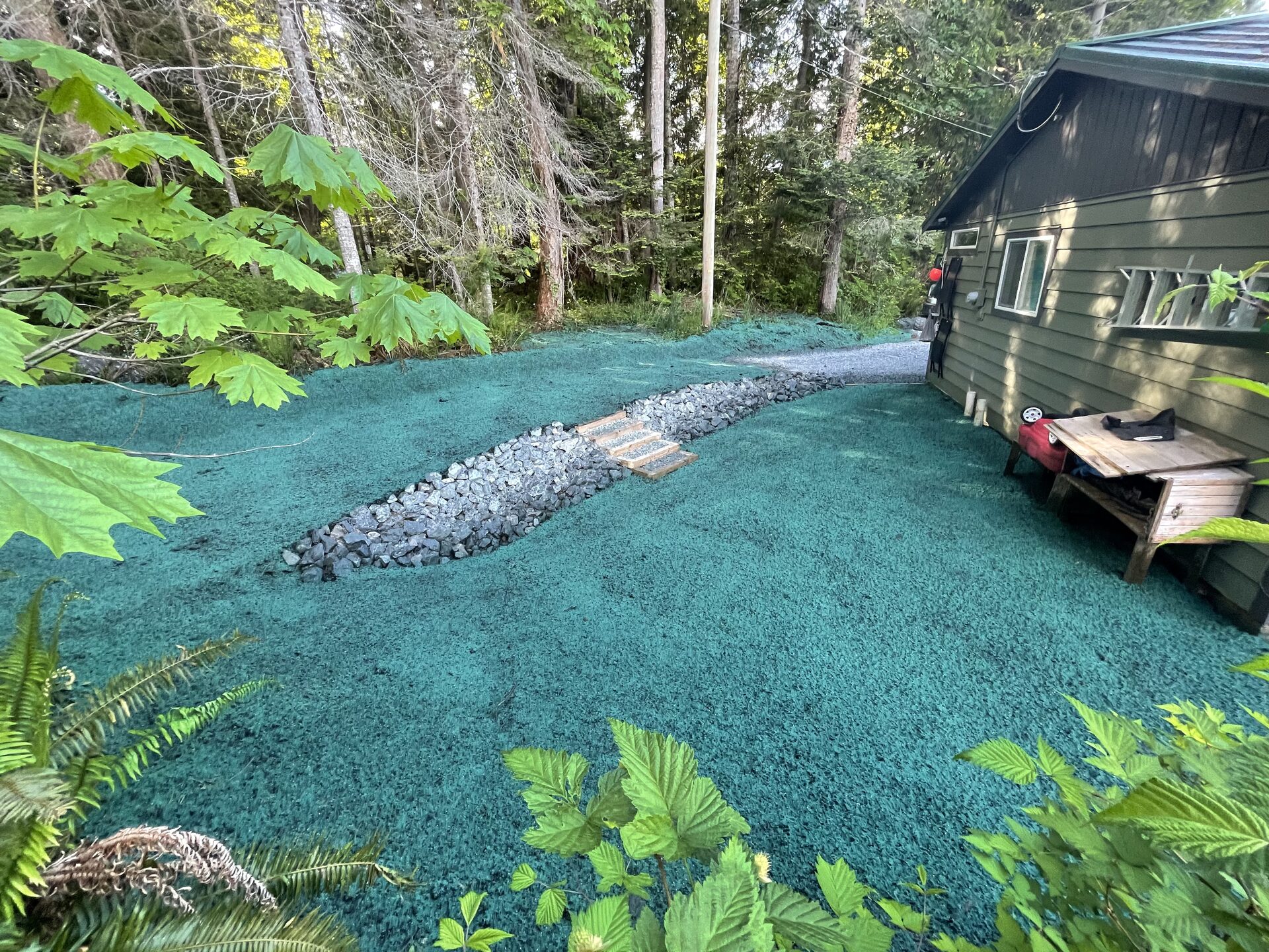 Freshly applied hydroseed mulch covering a prepared residential yard on Vancouver Island